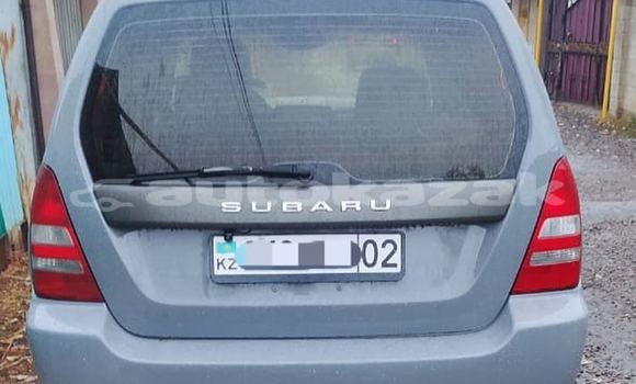 Buy Used Subaru Forester Other Car in Almaty in Almati Buy Used Subaru Forester Other Car in Almaty in Almati