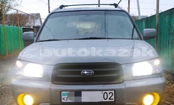 Buy Used Subaru Forester Other Car in Almaty in Almati Buy Used Subaru Forester Other Car in Almaty in Almati