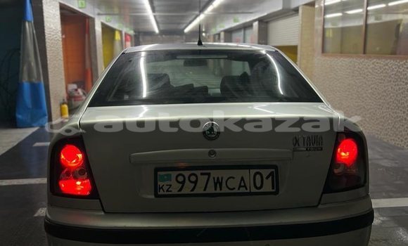 Buy Used Skoda Octavia Silver Car in Astana in Akmola Buy Used Skoda Octavia Silver Car in Astana in Akmola