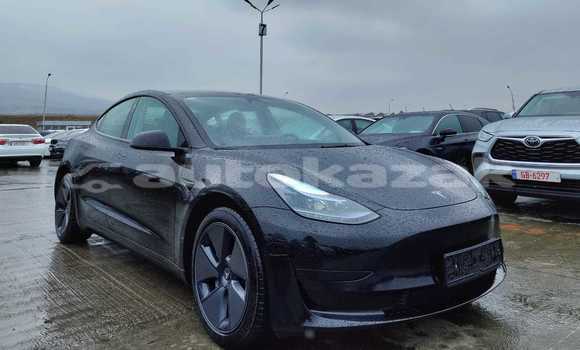 Buy Used Tesla Model 3 Black Car in Almaty in Almati Buy Used Tesla Model 3 Black Car in Almaty in Almati