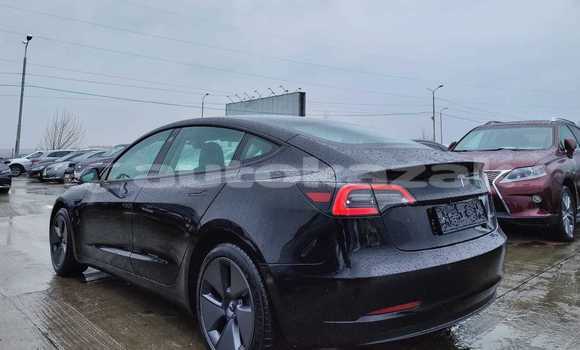 Buy Used Tesla Model 3 Black Car in Almaty in Almati Buy Used Tesla Model 3 Black Car in Almaty in Almati