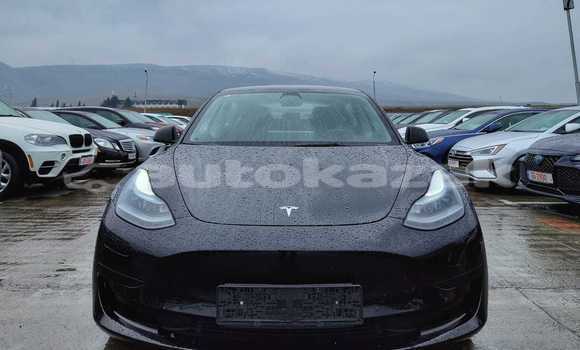 Buy Used Tesla Model 3 Black Car in Almaty in Almati Buy Used Tesla Model 3 Black Car in Almaty in Almati