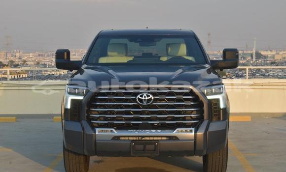 Buy New Toyota Tundra Black Car in Import - Dubai in Akmecet