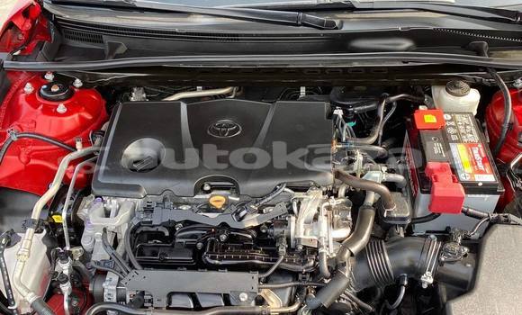 Buy Used Toyota Camry Red Car in Almaty in Almati Buy Used Toyota Camry Red Car in Almaty in Almati