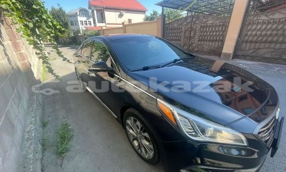 Buy Used Hyundai Sonata Black Car in Astana in Akmola Buy Used Hyundai Sonata Black Car in Astana in Akmola