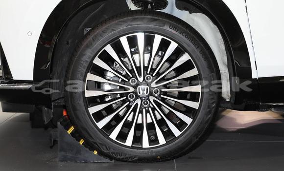 Buy New Toyota Echo White Car in Abay in Karagandi Buy New Toyota Echo White Car in Abay in Karagandi