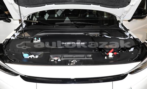 Buy New Toyota Echo White Car in Abay in Karagandi Buy New Toyota Echo White Car in Abay in Karagandi