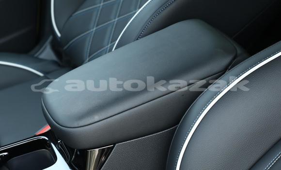 Buy New Toyota Echo White Car in Abay in Karagandi Buy New Toyota Echo White Car in Abay in Karagandi