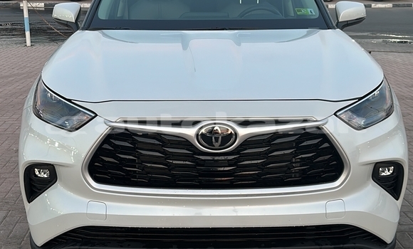Buy Used Toyota Highlander White Car in Import - Dubai in Akmecet