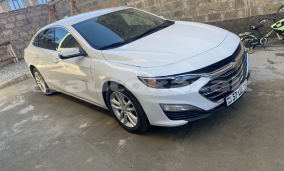 Buy Used Chevrolet Malibu White Car in Almati in Almati Buy Used Chevrolet Malibu White Car in Almati in Almati