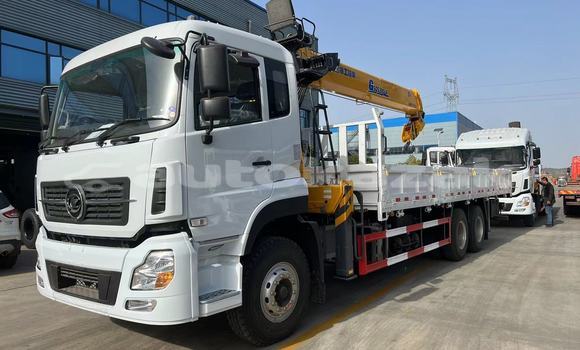 Buy Used Isuzu FTR 850 Beige Truck in Abay in Karagandi