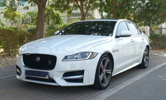 Buy Used Jaguar XF White Car in Astana in Akmola