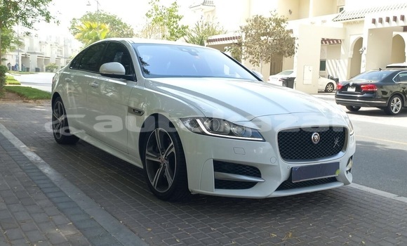 Buy Used Jaguar XF White Car in Astana in Akmola Buy Used Jaguar XF White Car in Astana in Akmola