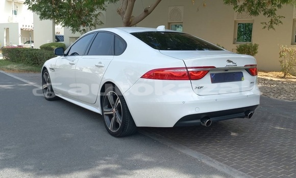 Buy Used Jaguar XF White Car in Astana in Akmola Buy Used Jaguar XF White Car in Astana in Akmola