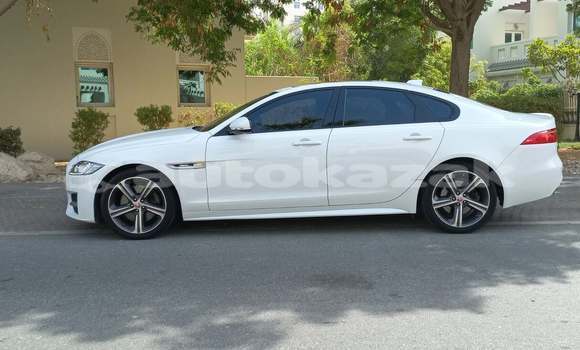 Buy Used Jaguar XF White Car in Astana in Akmola Buy Used Jaguar XF White Car in Astana in Akmola