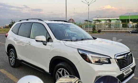Buy Used Subaru Forester White Car in Aktau in Mankistau