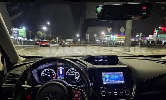 Buy Used Subaru Forester White Car in Aktau in Mankistau Buy Used Subaru Forester White Car in Aktau in Mankistau