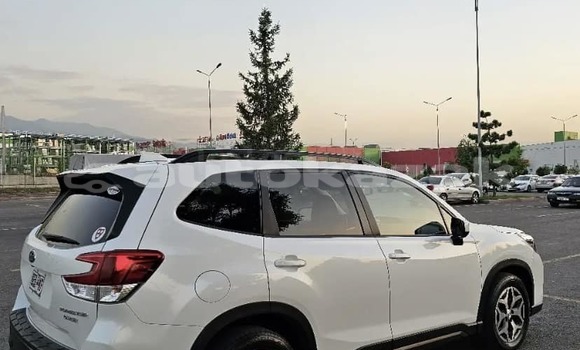 Buy Used Subaru Forester White Car in Aktau in Mankistau Buy Used Subaru Forester White Car in Aktau in Mankistau