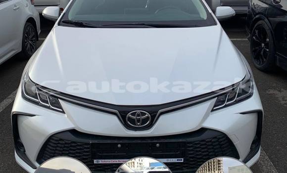 Buy Used Toyota Corolla White Car in Aktau in Mankistau Buy Used Toyota Corolla White Car in Aktau in Mankistau