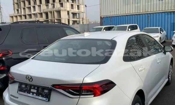 Buy Used Toyota Corolla White Car in Aktau in Mankistau Buy Used Toyota Corolla White Car in Aktau in Mankistau