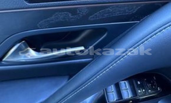 Buy Used Lexus LX White Car in Abay in Karagandi Buy Used Lexus LX White Car in Abay in Karagandi