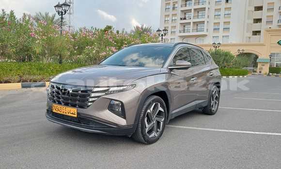 Buy Used Hyundai Tucson Brown Car in Borovskoy in Kostanay Buy Used Hyundai Tucson Brown Car in Borovskoy in Kostanay