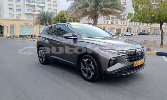 Buy Used Hyundai Tucson Brown Car in Borovskoy in Kostanay Buy Used Hyundai Tucson Brown Car in Borovskoy in Kostanay