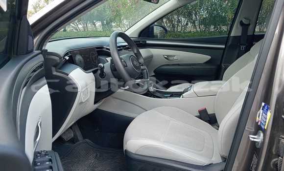 Buy Used Hyundai Tucson Brown Car in Borovskoy in Kostanay Buy Used Hyundai Tucson Brown Car in Borovskoy in Kostanay