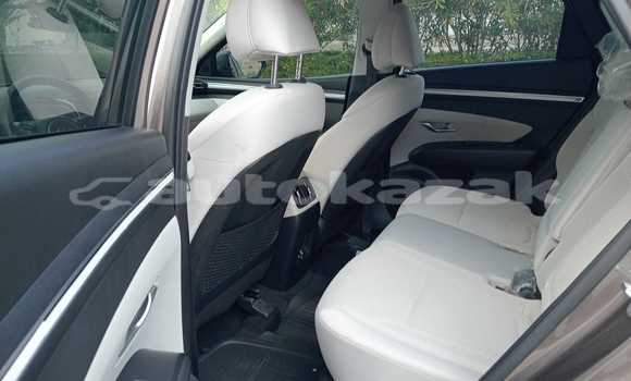Buy Used Hyundai Tucson Brown Car in Borovskoy in Kostanay Buy Used Hyundai Tucson Brown Car in Borovskoy in Kostanay