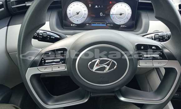 Buy Used Hyundai Tucson Brown Car in Borovskoy in Kostanay Buy Used Hyundai Tucson Brown Car in Borovskoy in Kostanay