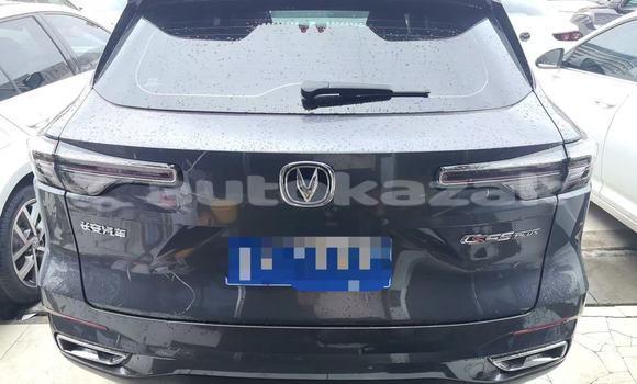 Buy Used Changan CS55 Black Car in Almati in Almati Buy Used Changan CS55 Black Car in Almati in Almati