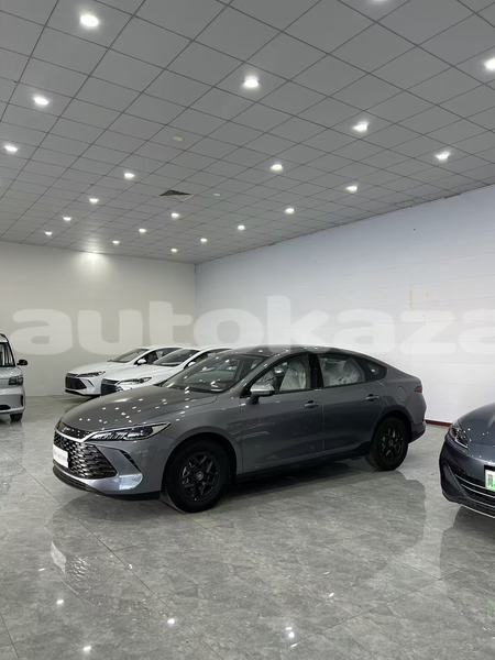 Big with watermark byd e6 akmola astana 5364