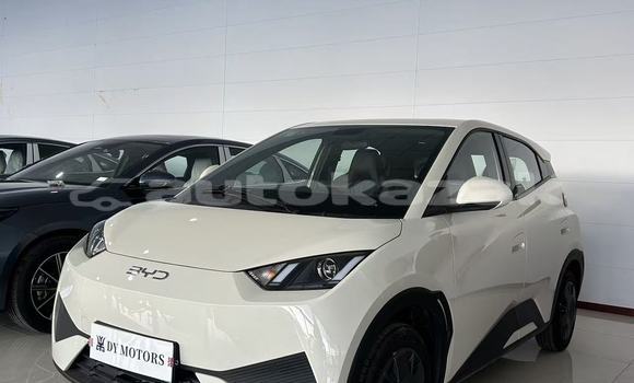 Buy New BYD E6 White Car in Astana in Akmola