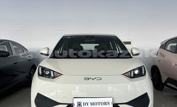 Buy New BYD E6 White Car in Astana in Akmola Buy New BYD E6 White Car in Astana in Akmola
