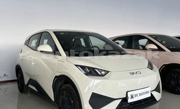 Buy New BYD E6 White Car in Astana in Akmola Buy New BYD E6 White Car in Astana in Akmola