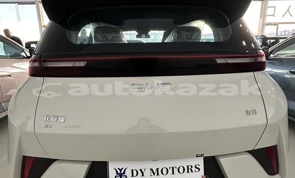 Buy New BYD E6 White Car in Astana in Akmola Buy New BYD E6 White Car in Astana in Akmola