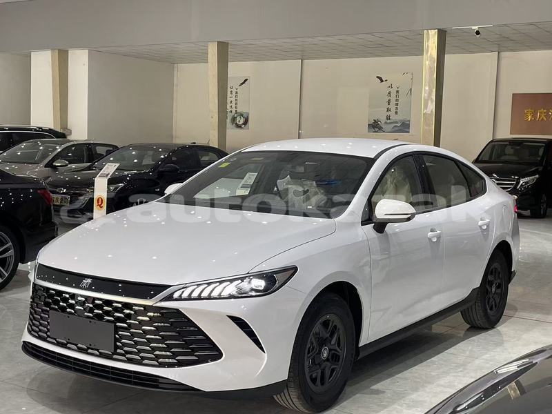 Big with watermark byd e6 akmola astana 5367