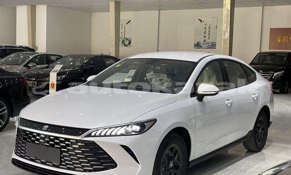 Buy New BYD E6 White Car in Astana in Akmola Buy New BYD E6 White Car in Astana in Akmola