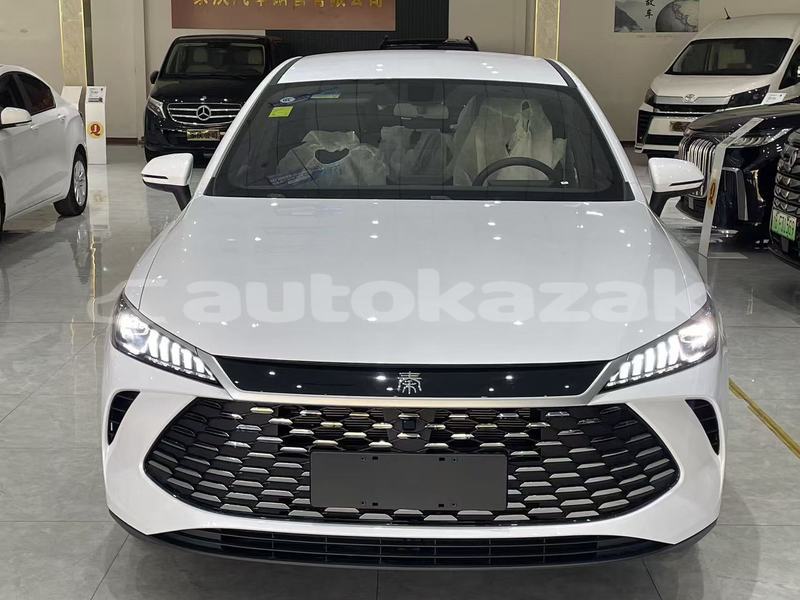 Big with watermark byd e6 akmola astana 5367