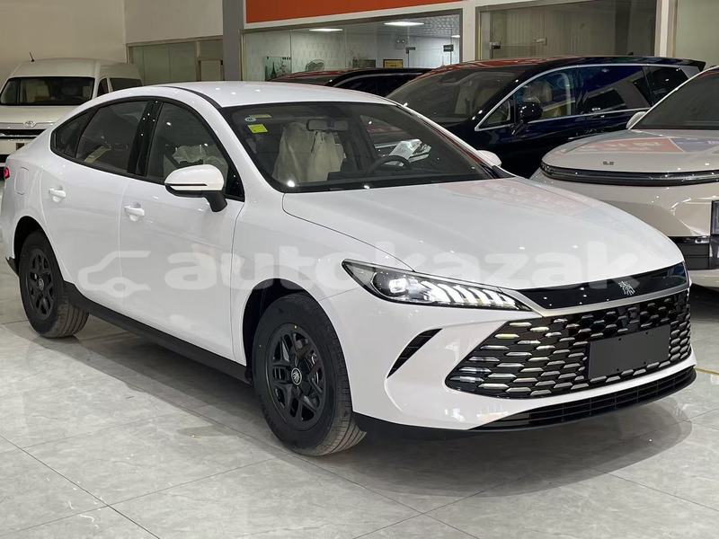 Big with watermark byd e6 akmola astana 5367