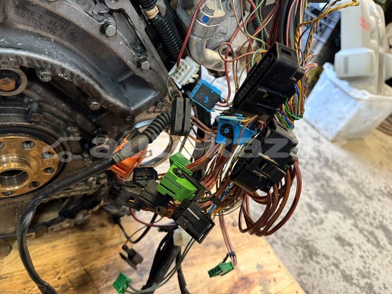 Big with watermark 14