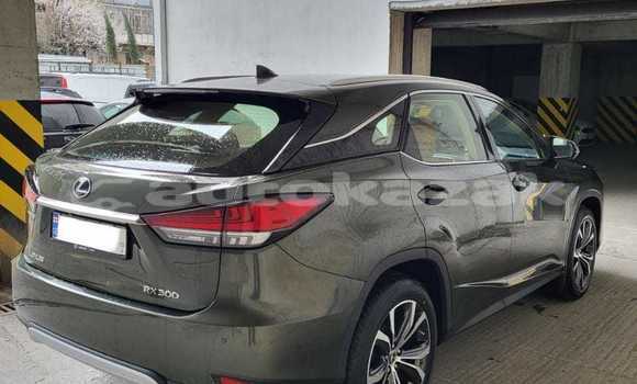 Buy Used Lexus RX 300 Green Car in Georgiyev in Taraz Buy Used Lexus RX 300 Green Car in Georgiyev in Taraz