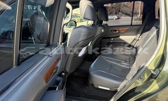 Buy Used Lexus LX Green Car in Georgiyev in Taraz Buy Used Lexus LX Green Car in Georgiyev in Taraz