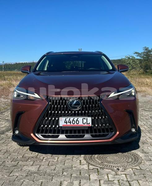 Big with watermark lexus nx taraz georgiyev 5463