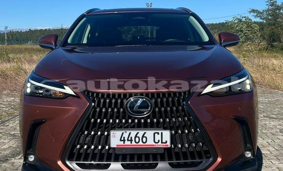 Buy Used Lexus NX Other Car in Georgiyev in Taraz