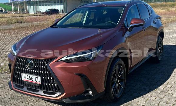 Buy Used Lexus NX Other Car in Georgiyev in Taraz Buy Used Lexus NX Other Car in Georgiyev in Taraz