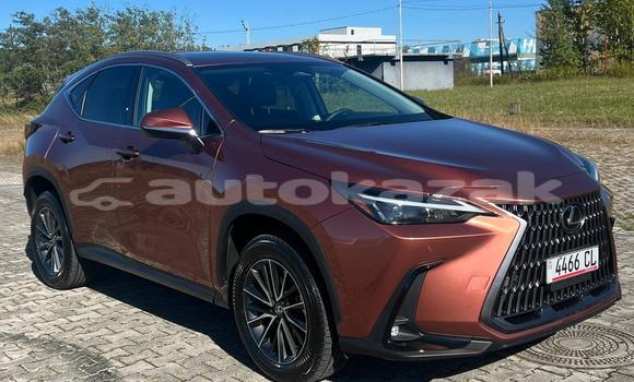 Buy Used Lexus NX Other Car in Georgiyev in Taraz Buy Used Lexus NX Other Car in Georgiyev in Taraz