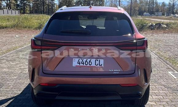 Buy Used Lexus NX Other Car in Georgiyev in Taraz Buy Used Lexus NX Other Car in Georgiyev in Taraz