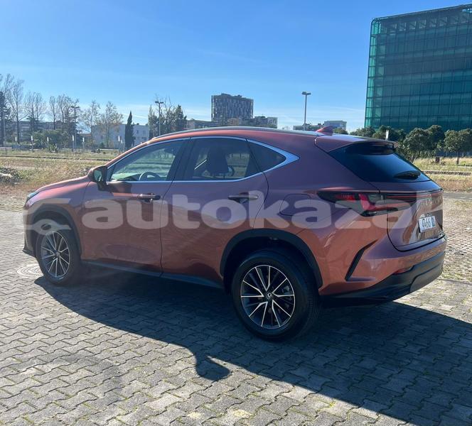 Big with watermark lexus nx taraz georgiyev 5463