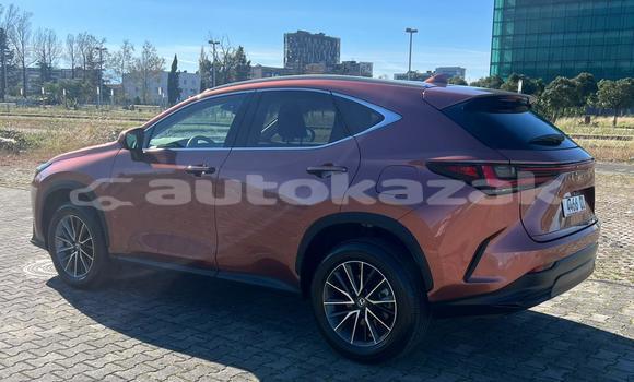 Buy Used Lexus NX Other Car in Georgiyev in Taraz Buy Used Lexus NX Other Car in Georgiyev in Taraz